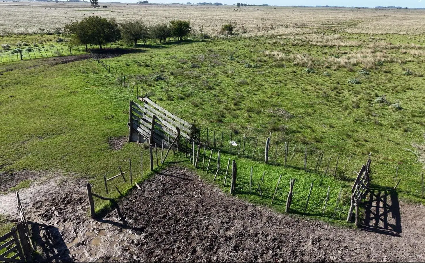 Campo para arrendar en Vieytes (Bs As) 3