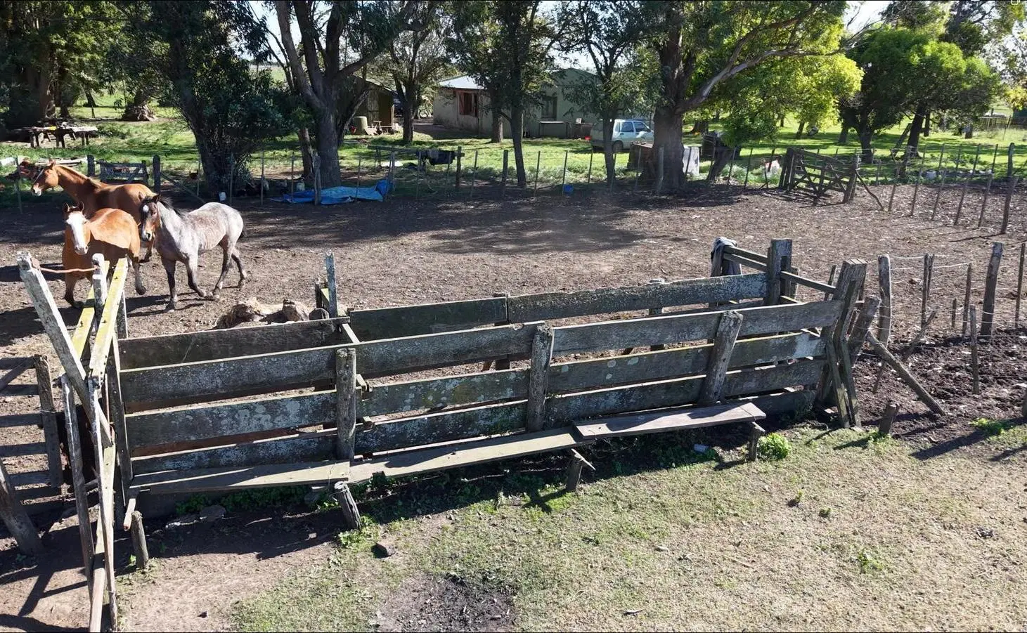 Campo para arrendar en Vieytes (Bs As) 2