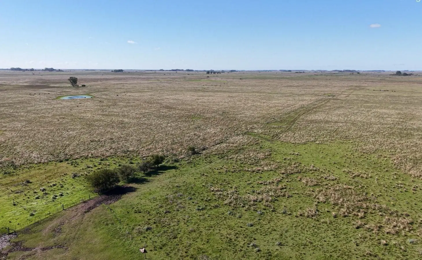 Campo para arrendar en Vieytes (Bs As) 5