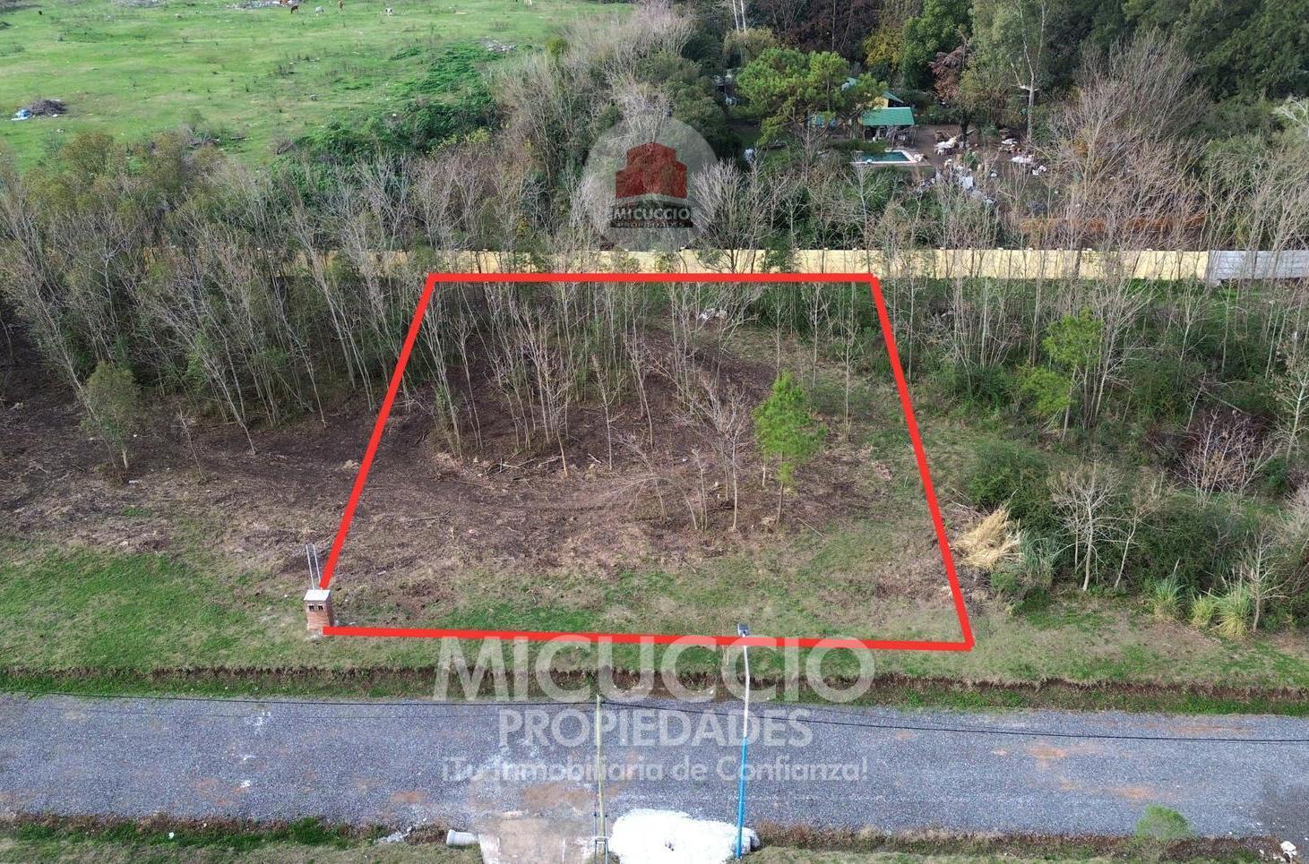 Foto de Lote en Venta (Parcela N°3, Fracción N°5), a tres cuadras de Av. San, imagen 2