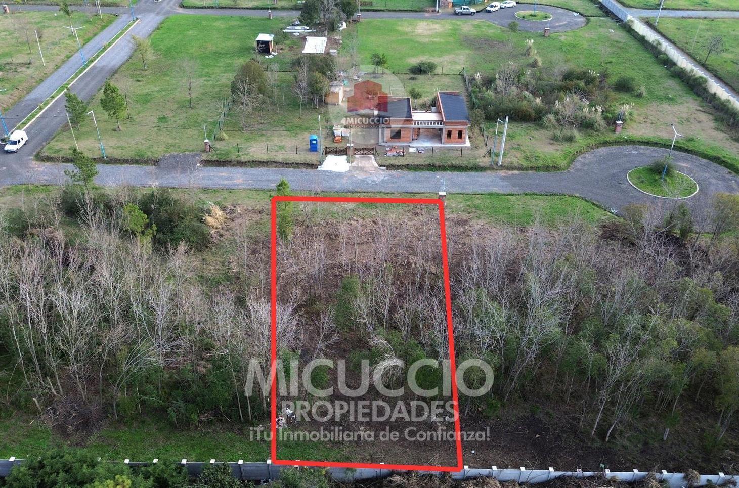 Foto de Lote en Venta (Parcela N°3, Fracción N°5), a tres cuadras de Av. San, imagen 1