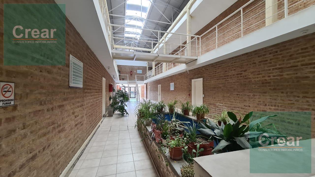 Foto de Departamento en Calle Maipú, Cipolletti, imagen 1