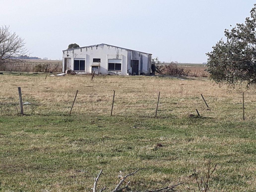 Campo de 870 Hectáreas Mixtas Carlos Tejedor 4