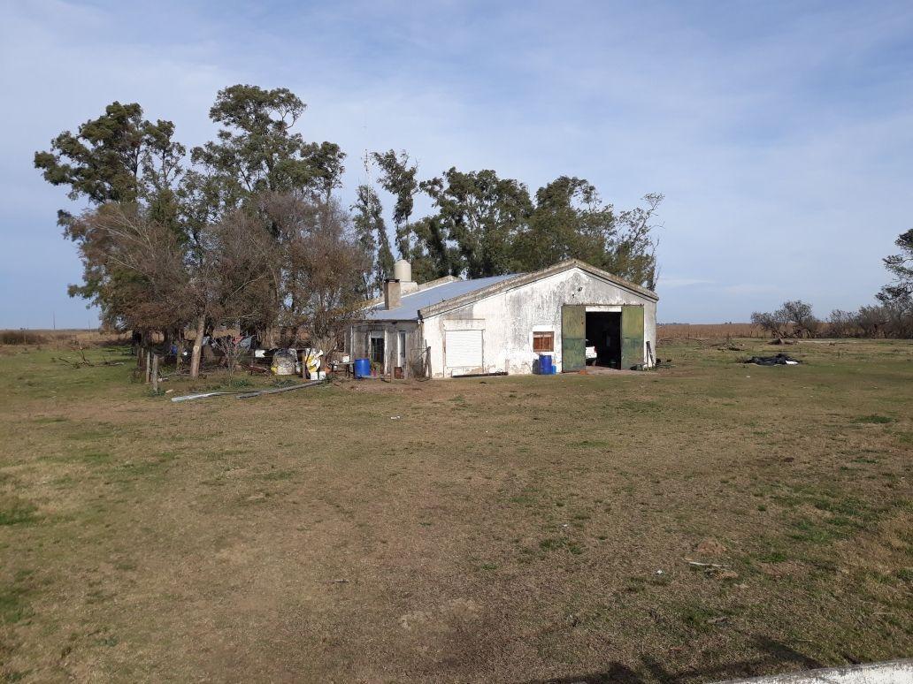 Campo de 870 Hectáreas Mixtas Carlos Tejedor 3
