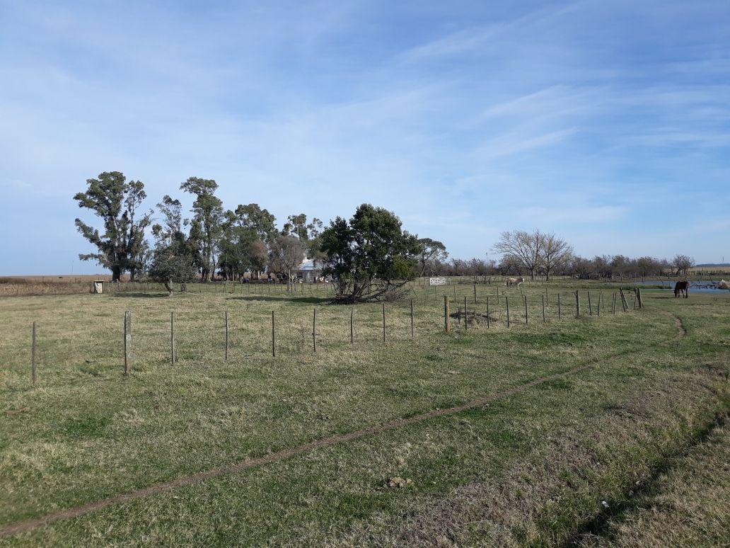 Campo de 870 Hectáreas Mixtas Carlos Tejedor 1