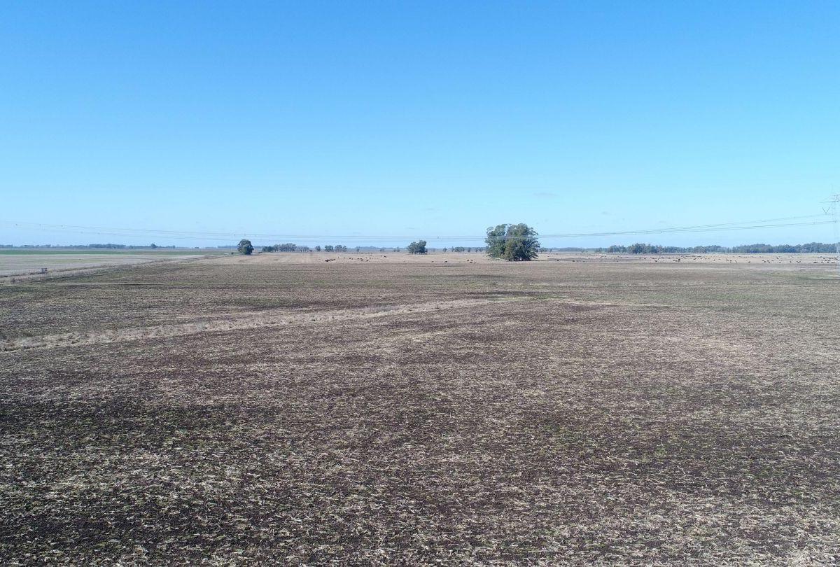 Campo 450 Hectáreas Mixtas Veinticinco de Mayo 5
