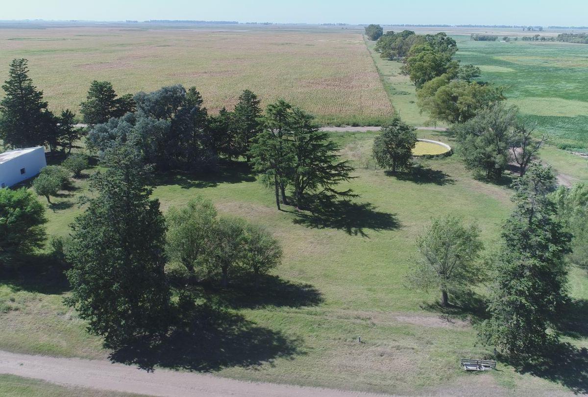 Campo 2000 Hectáreas |. | Pehuajo 2