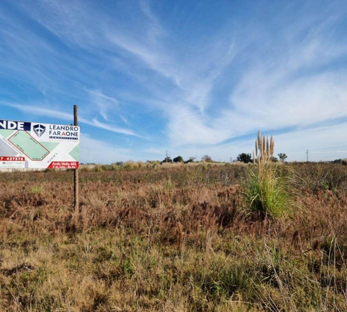 Lote. | Ruta Nacional Al 100 2