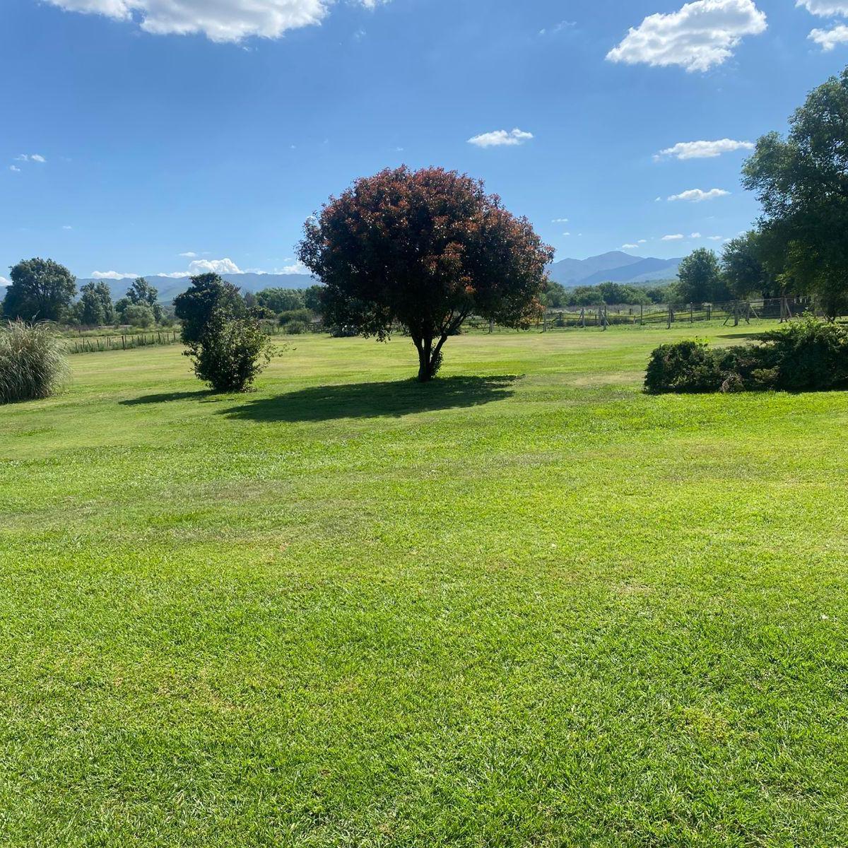 Foto de FALDA DEL CARMEN 35ha Terreno para desarrollo inmobiliario o rural, imagen 3