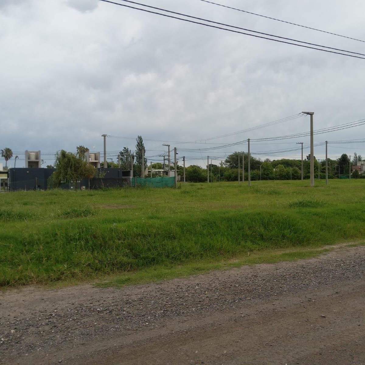 Foto de Venta de excepcionales terrenos en la localidad de Leones, imagen 3