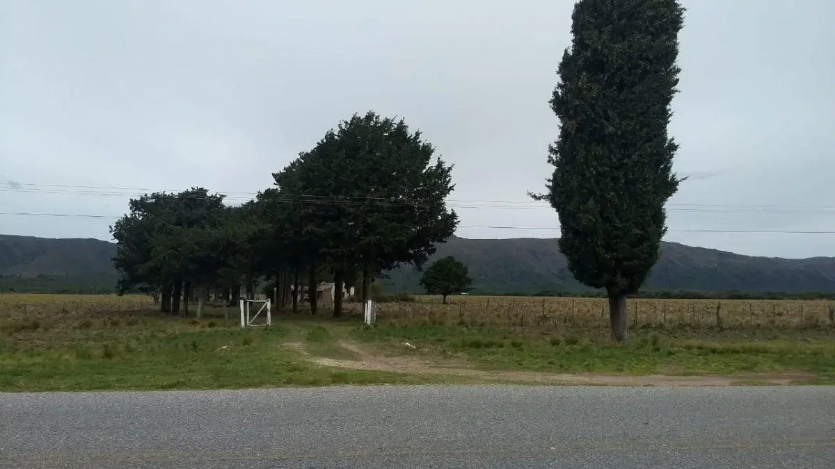 Venta de excepcional campo de 40 has agrícolas entre Villa del Carmen y El Sauce-SAN-LUIS 3