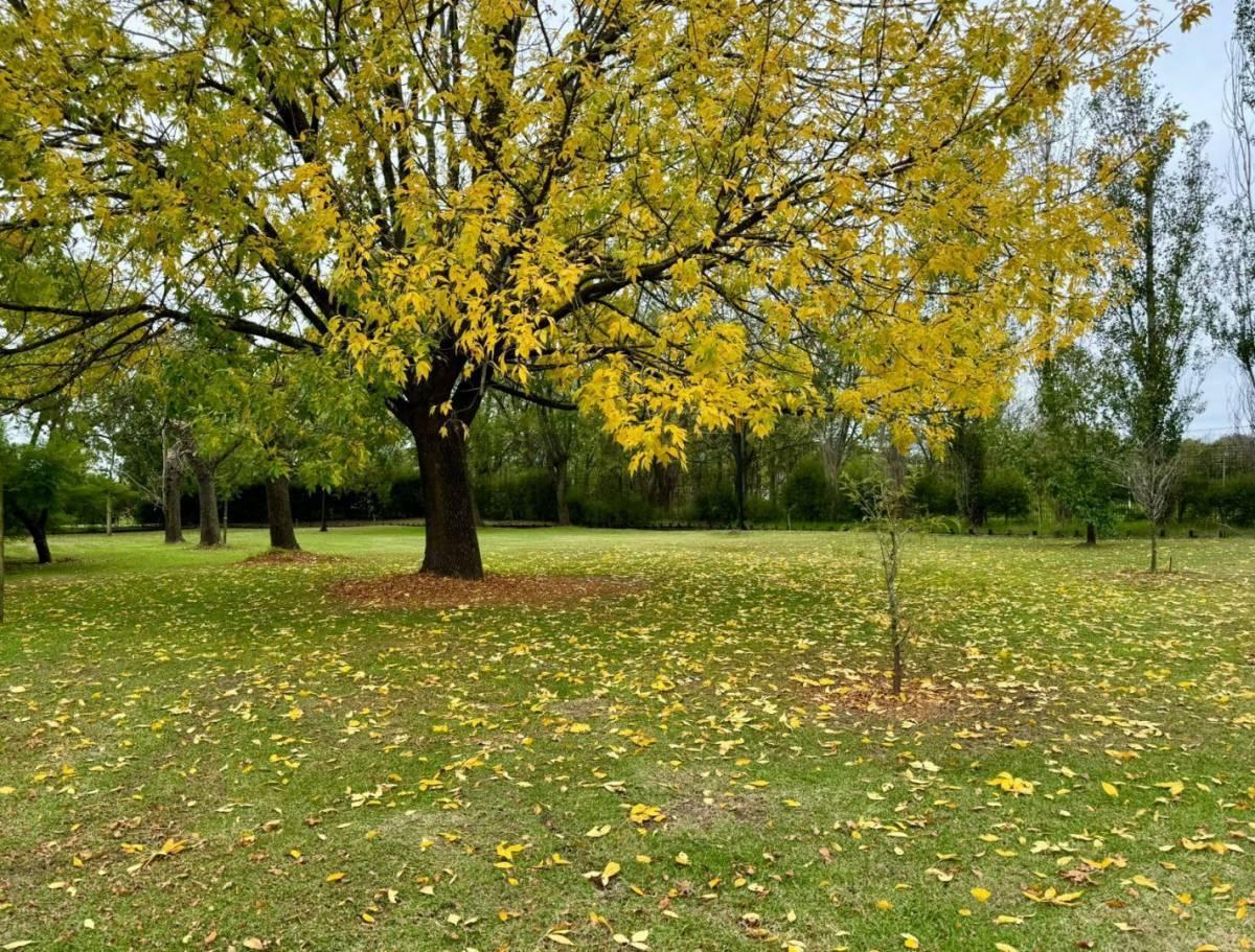 Lote en Venta en Villa Elisa 3