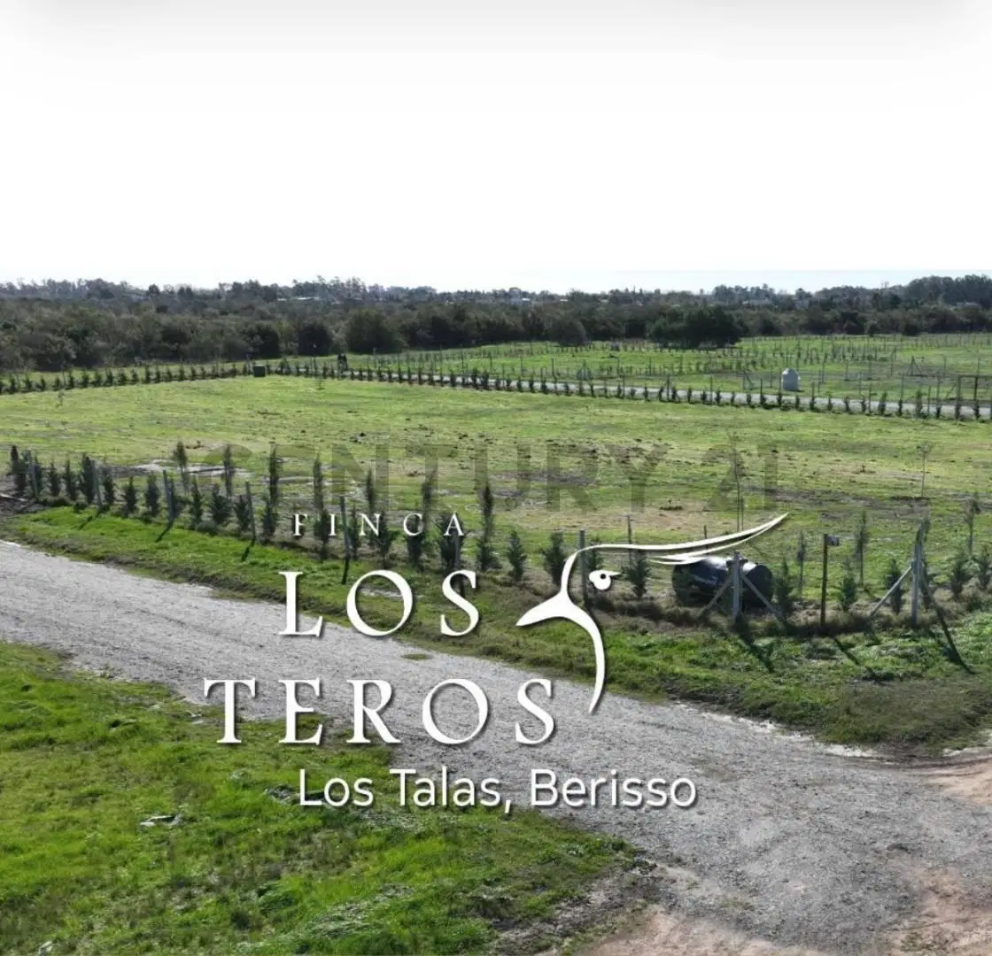 Terreno en venta Los Talas - Berisso 5
