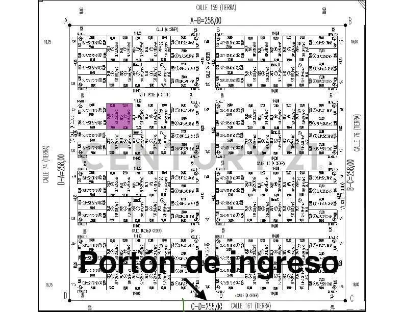 Vendo dos lotes de 12x24 cada uno, Finca Los Cerezos 161 y 76 4