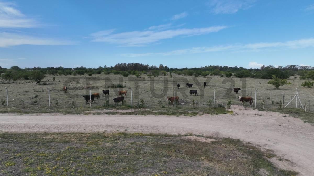 Foto de Lote en venta en Berisso, imagen 2