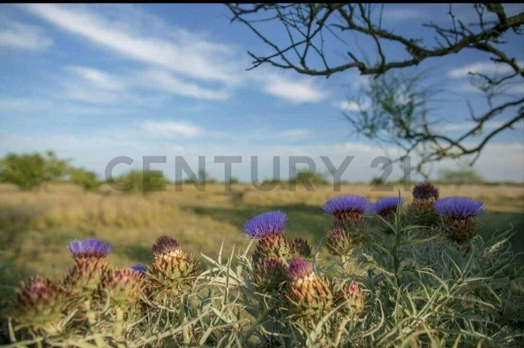 Foto de TERRENOS A LA VENTA - BERISSO, imagen 2