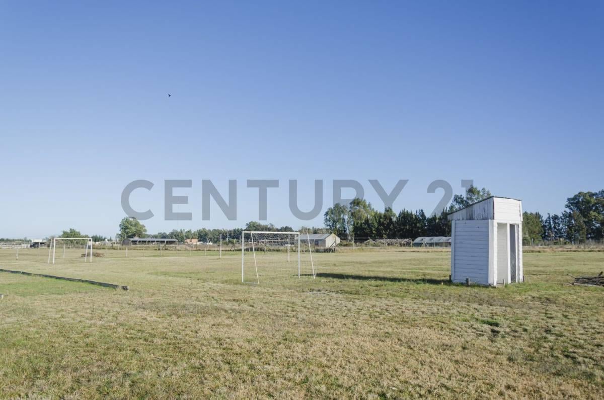 Foto de Quinta en venta, imagen 2