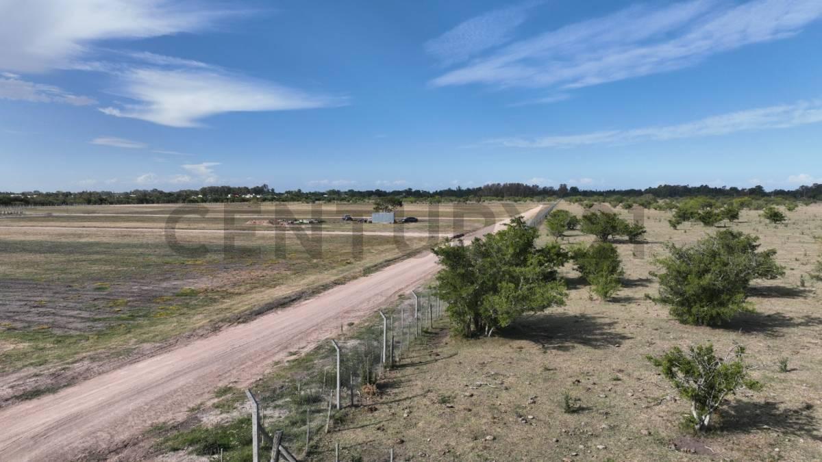 Foto de Terrenos en Venta en Berisso, Los Talas, imagen 4