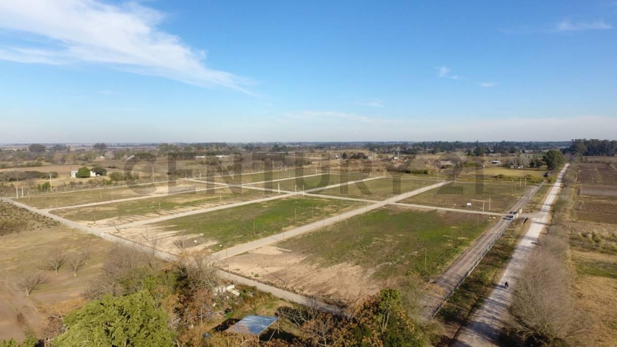 Foto de Lotes en Fincas Los Cerezos, Los Hornos, imagen 1