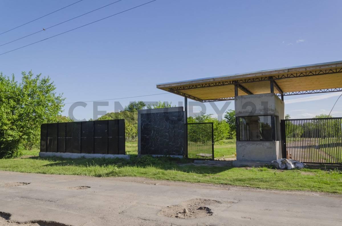 Foto de Propiedad 116936, imagen 5