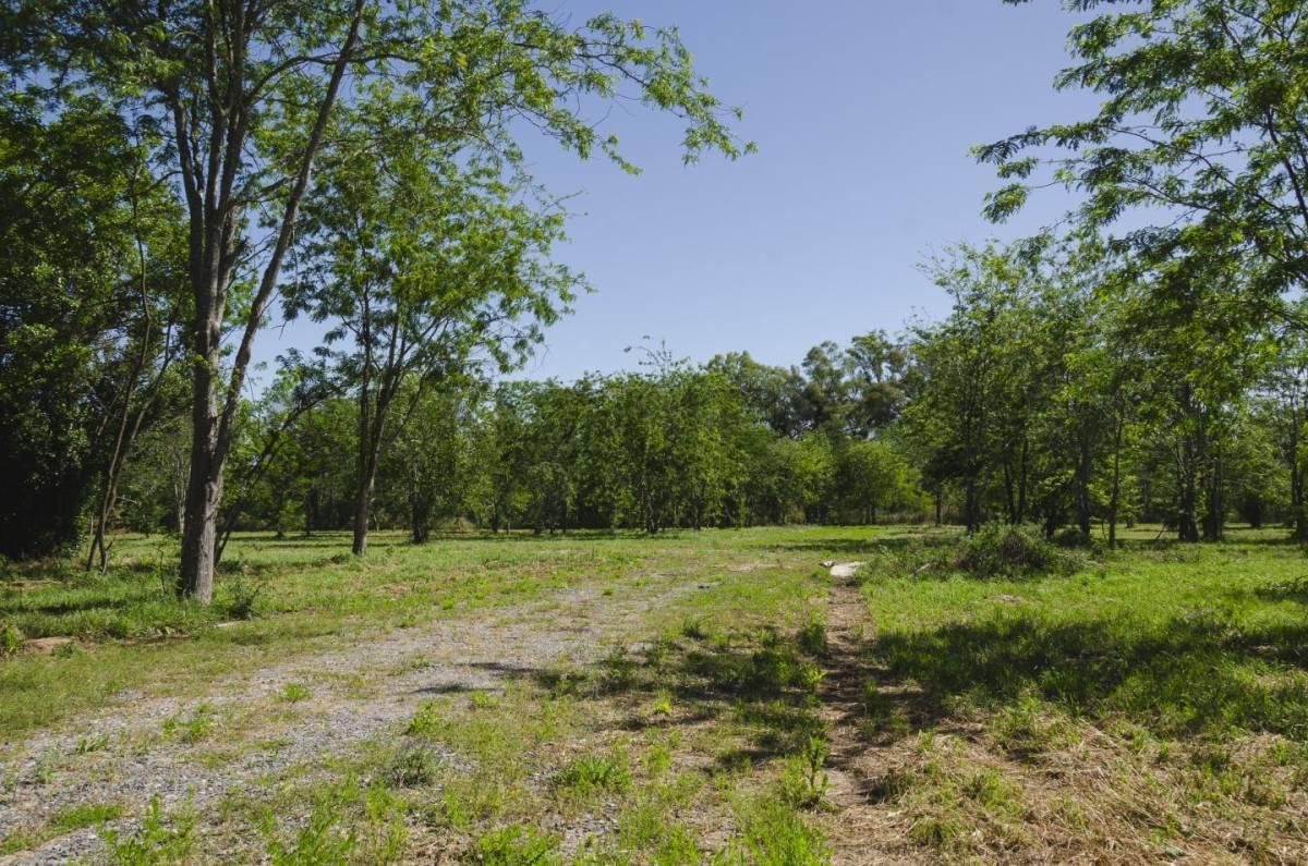 Foto de Lote en venta, imagen 1