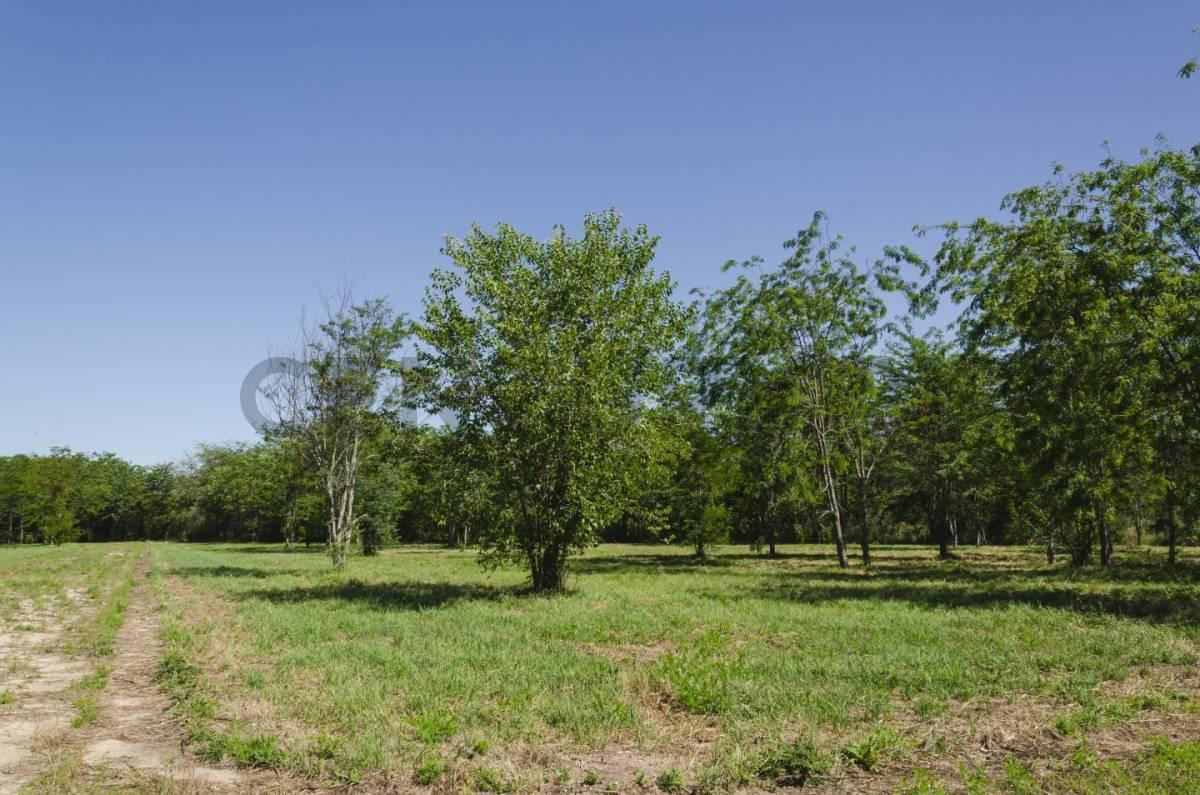 Foto de Lote en venta, imagen 5