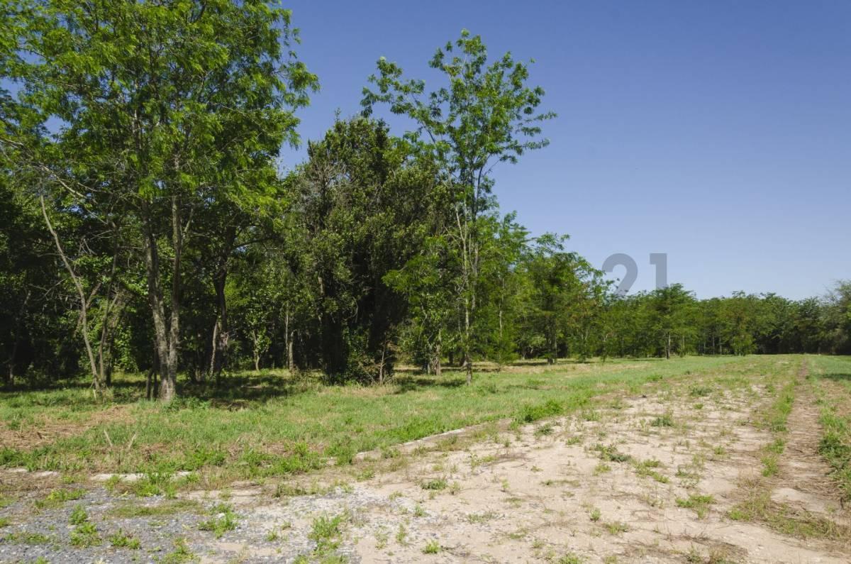 Foto de Lote en venta, imagen 3