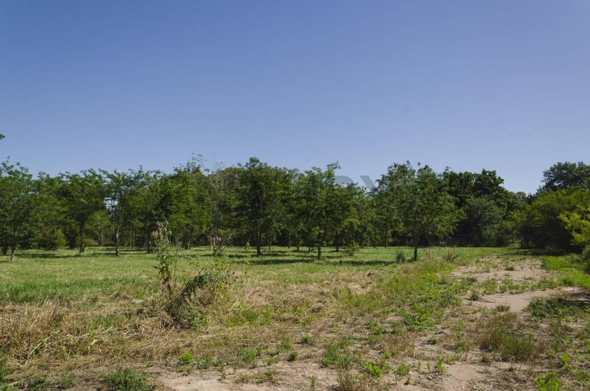 Foto de Lote en venta, imagen 2