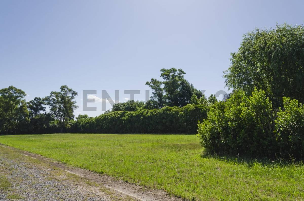Foto de Lote en venta, imagen 3
