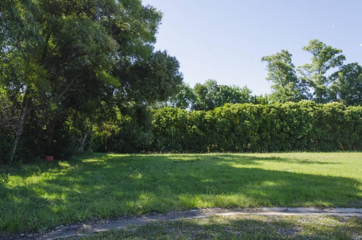Foto de Lote en venta, imagen 5