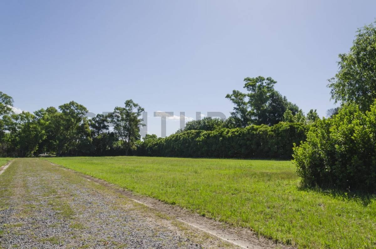 Foto de Lote en venta, imagen 4