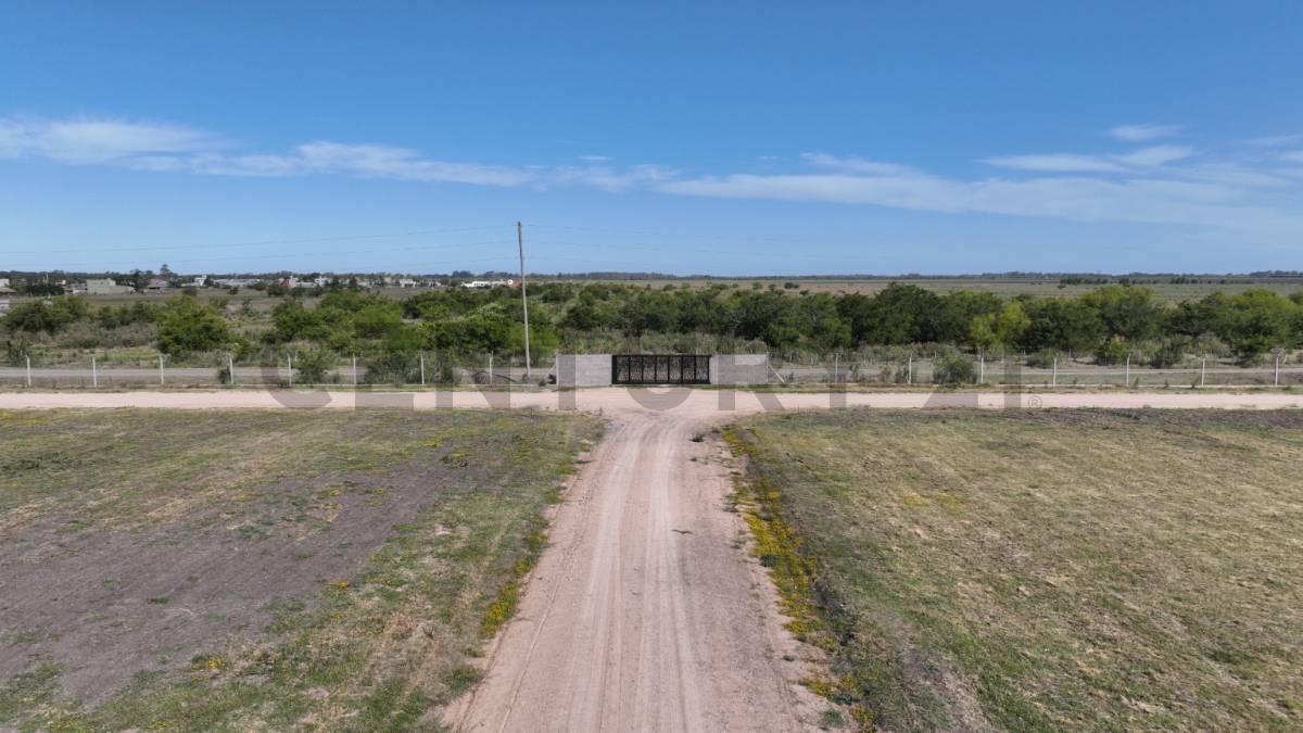 Foto de Terreno en venta Los Talas - Berisso, imagen 3