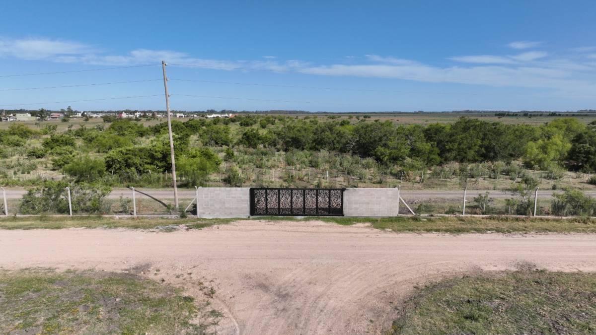 Foto de Terreno en venta Los Talas - Berisso, imagen 2