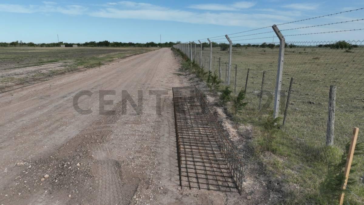 Foto de Terreno en venta Los Talas - Berisso, imagen 5