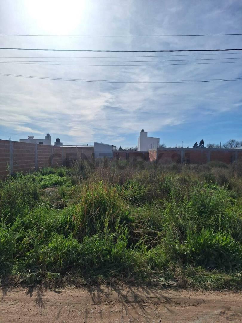 Foto de Terreno en Venta!! Barrio Aeropuerto, La Plata, imagen 3