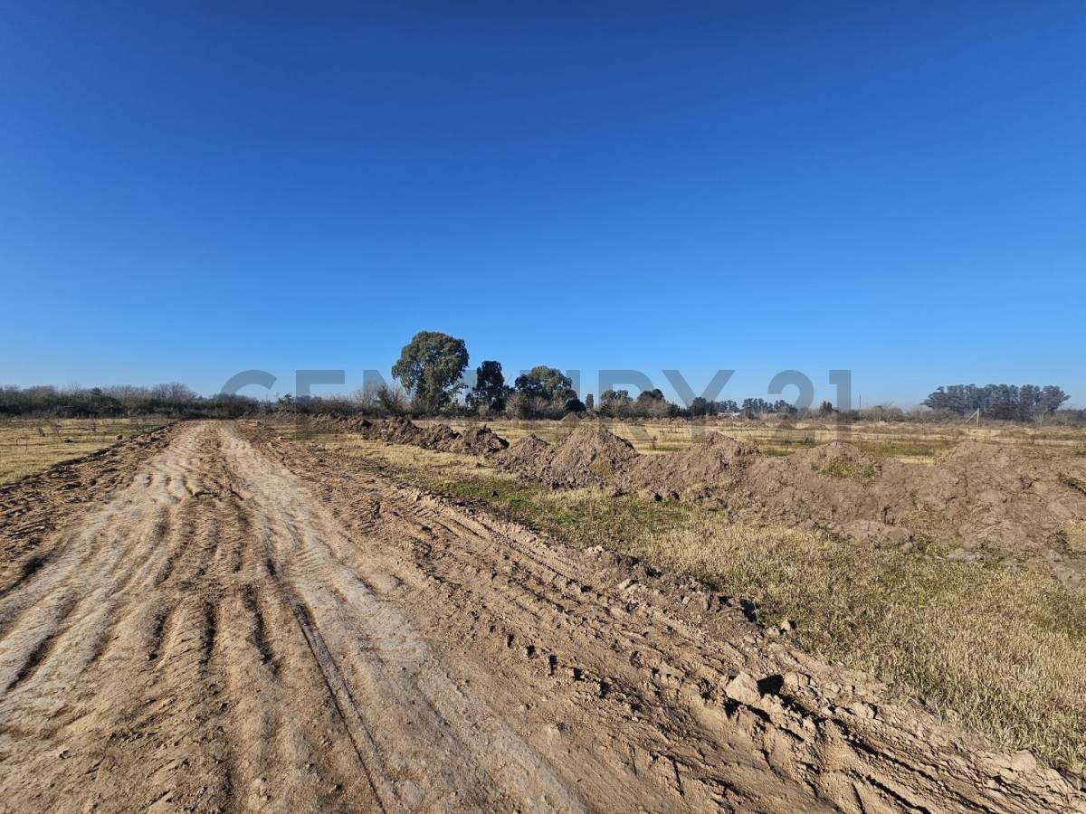 Foto de Lotes en Fincas Los Cerezos, Los Hornos, imagen 5