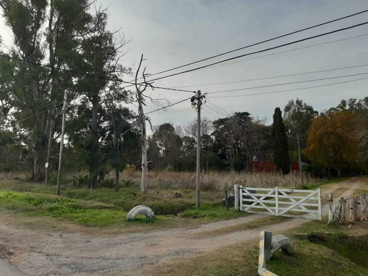 Foto de Terreno en venta en Los Talas, imagen 2