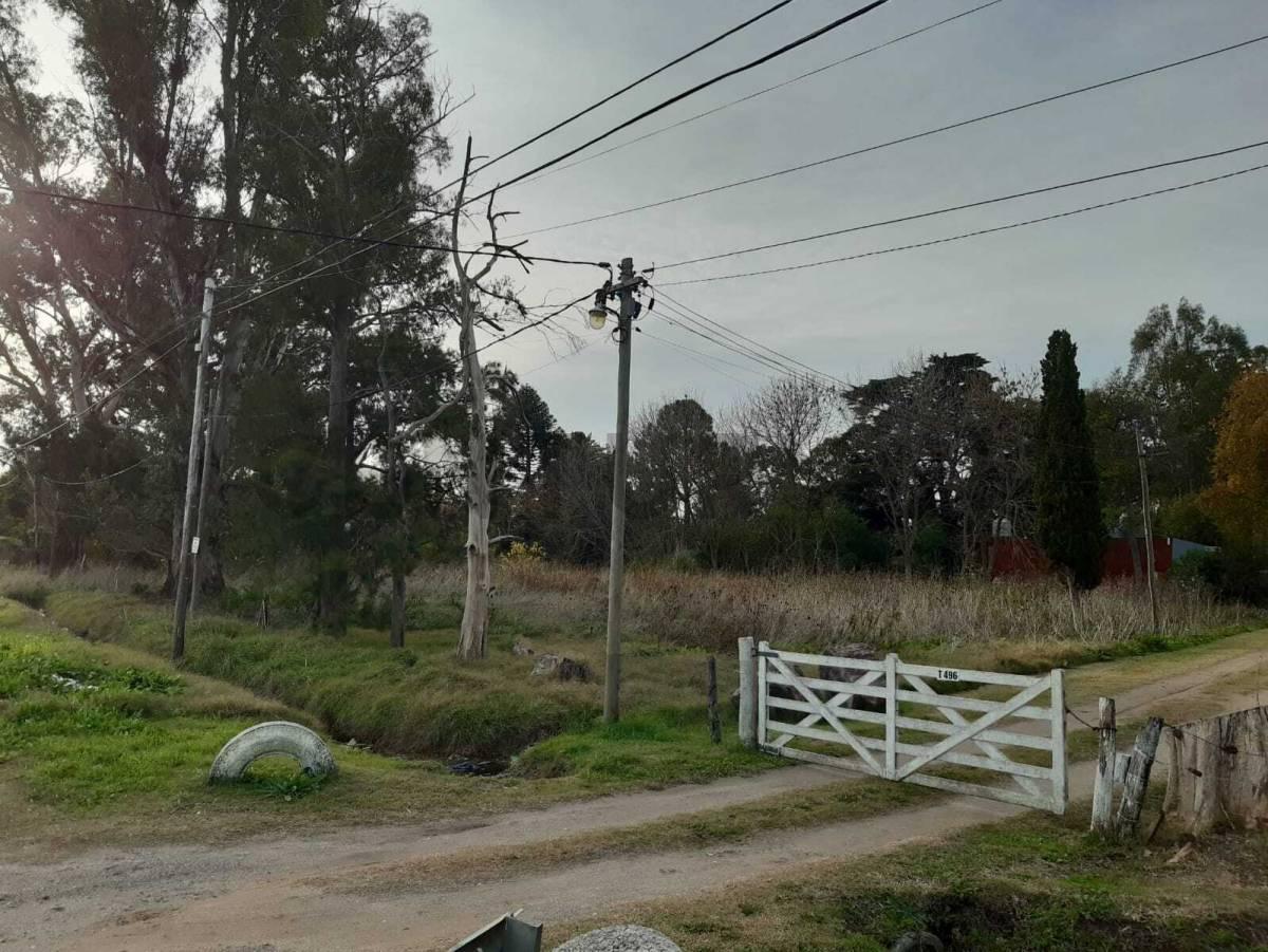 Foto de Terreno en venta en Los Talas, imagen 5