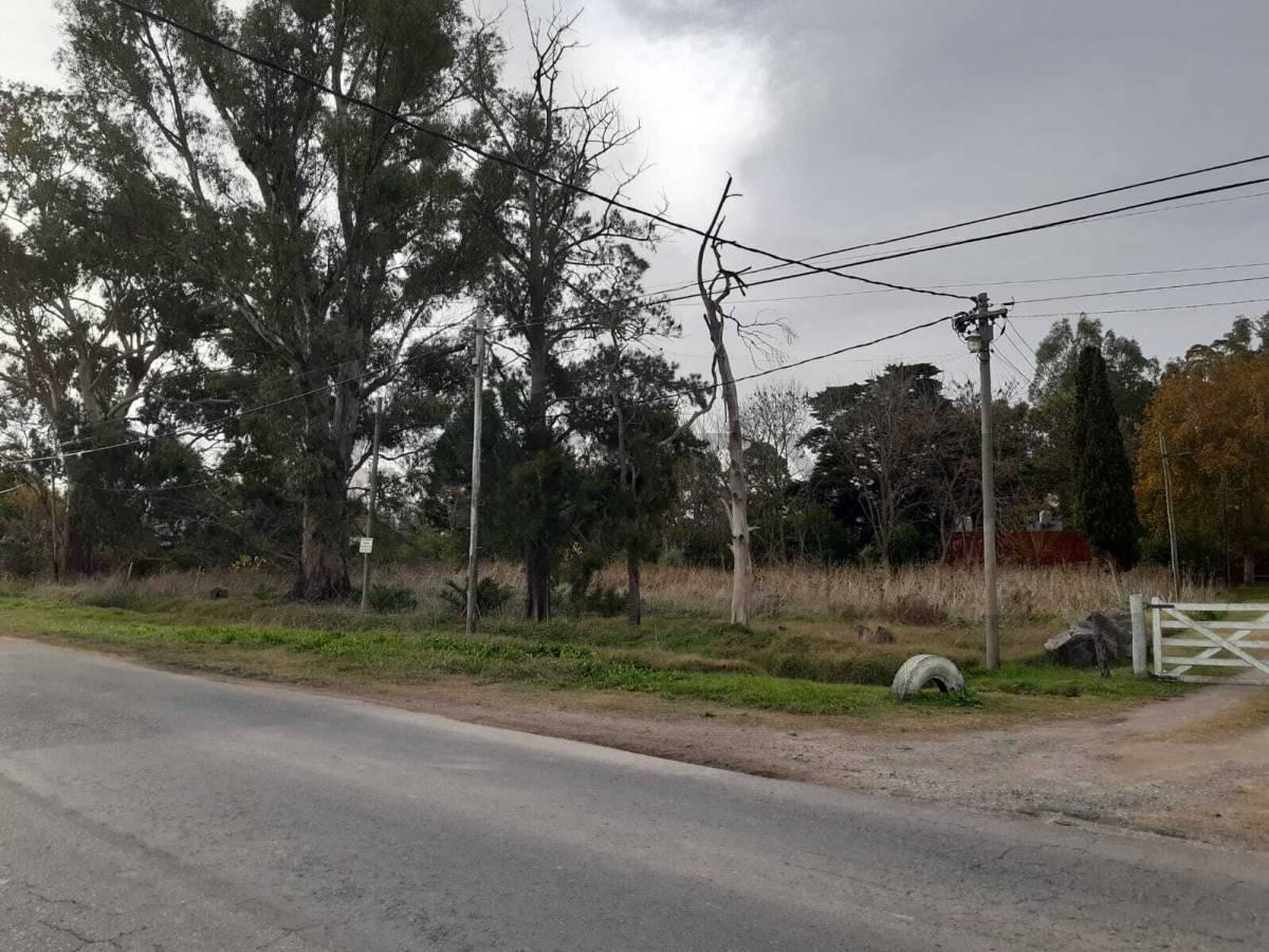Foto de Terreno en venta en Los Talas, imagen 3