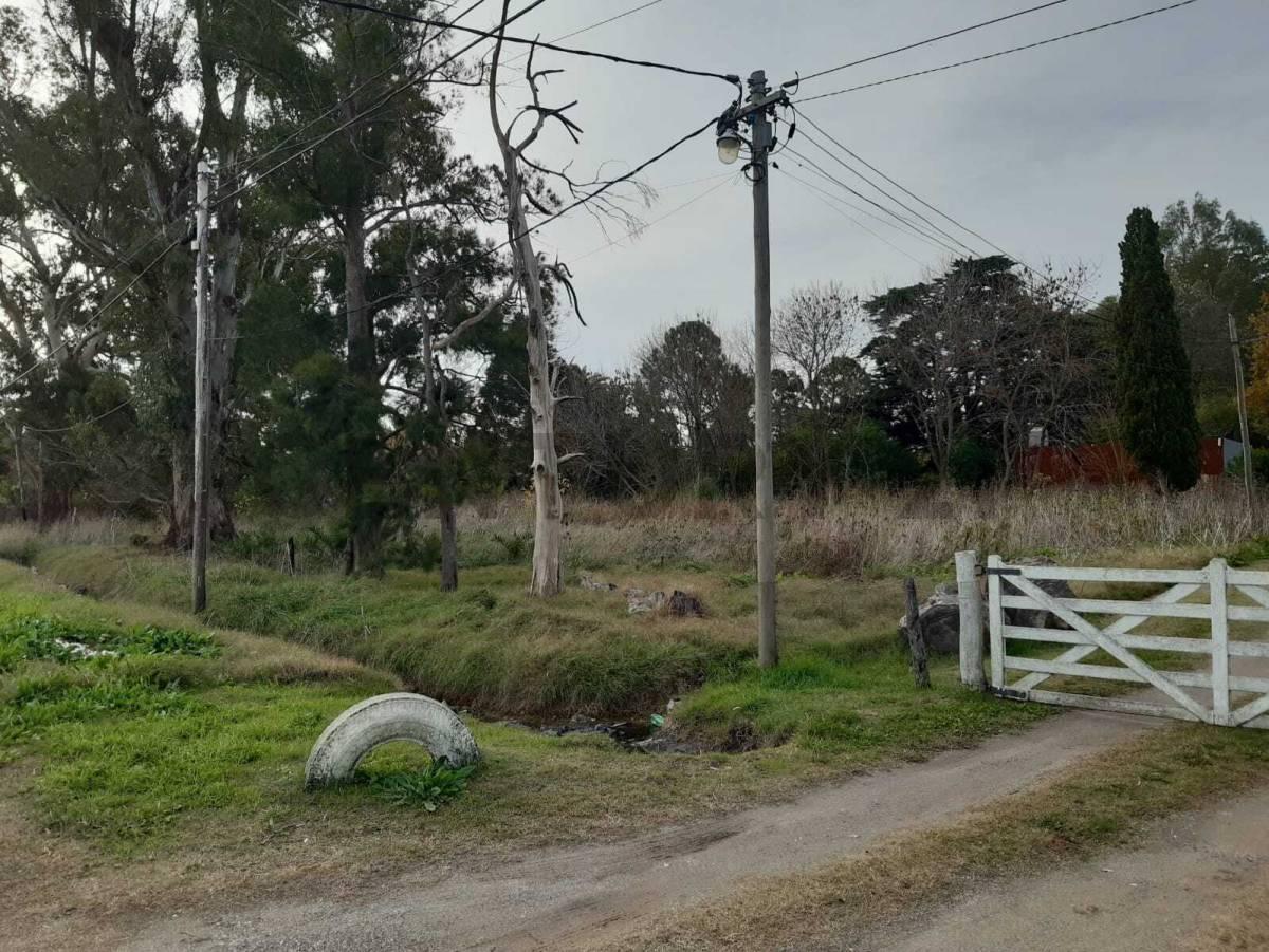 Foto de Terreno en venta en Los Talas, imagen 1