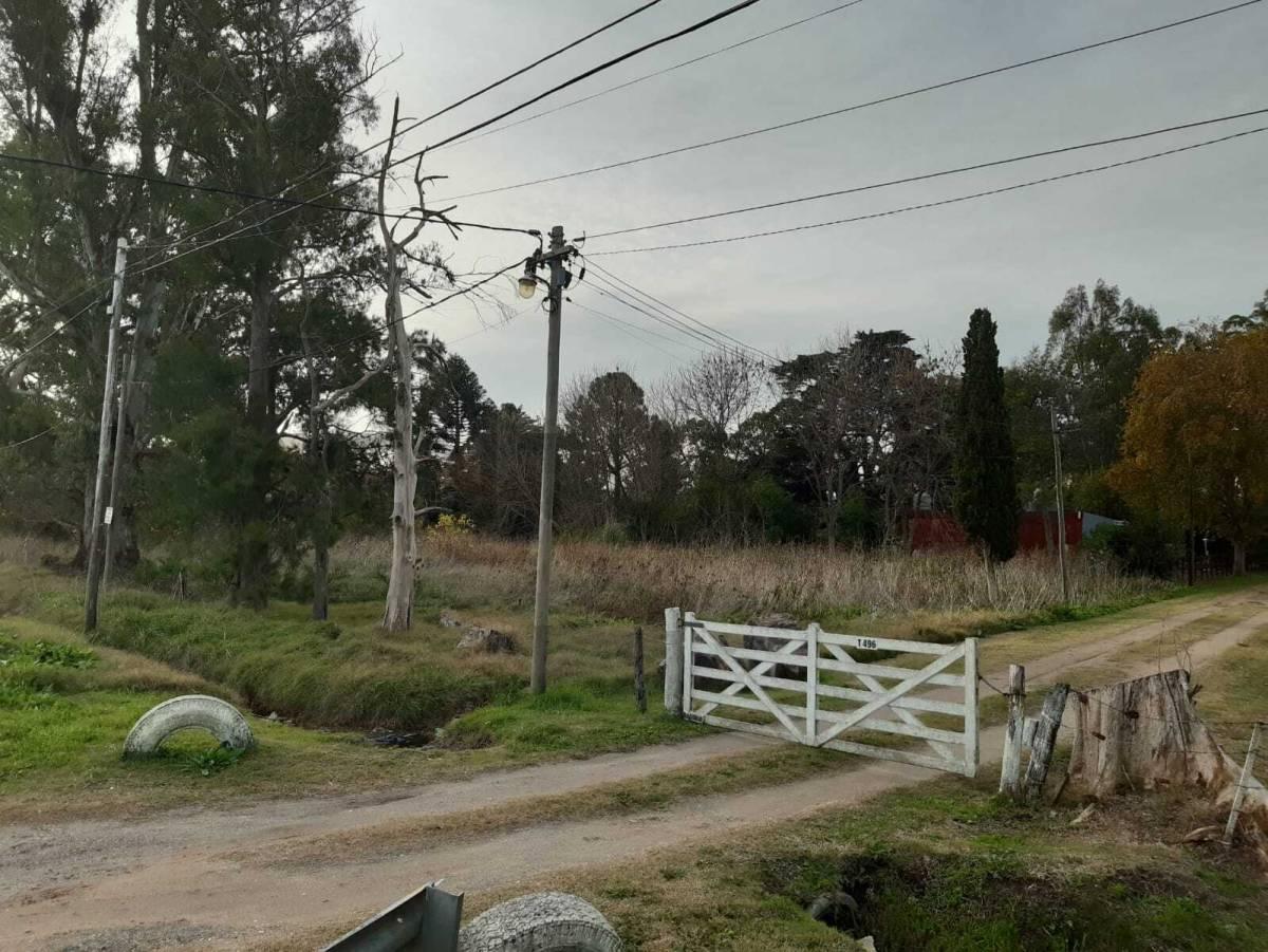 Foto de Terreno en venta en Los Talas, imagen 4