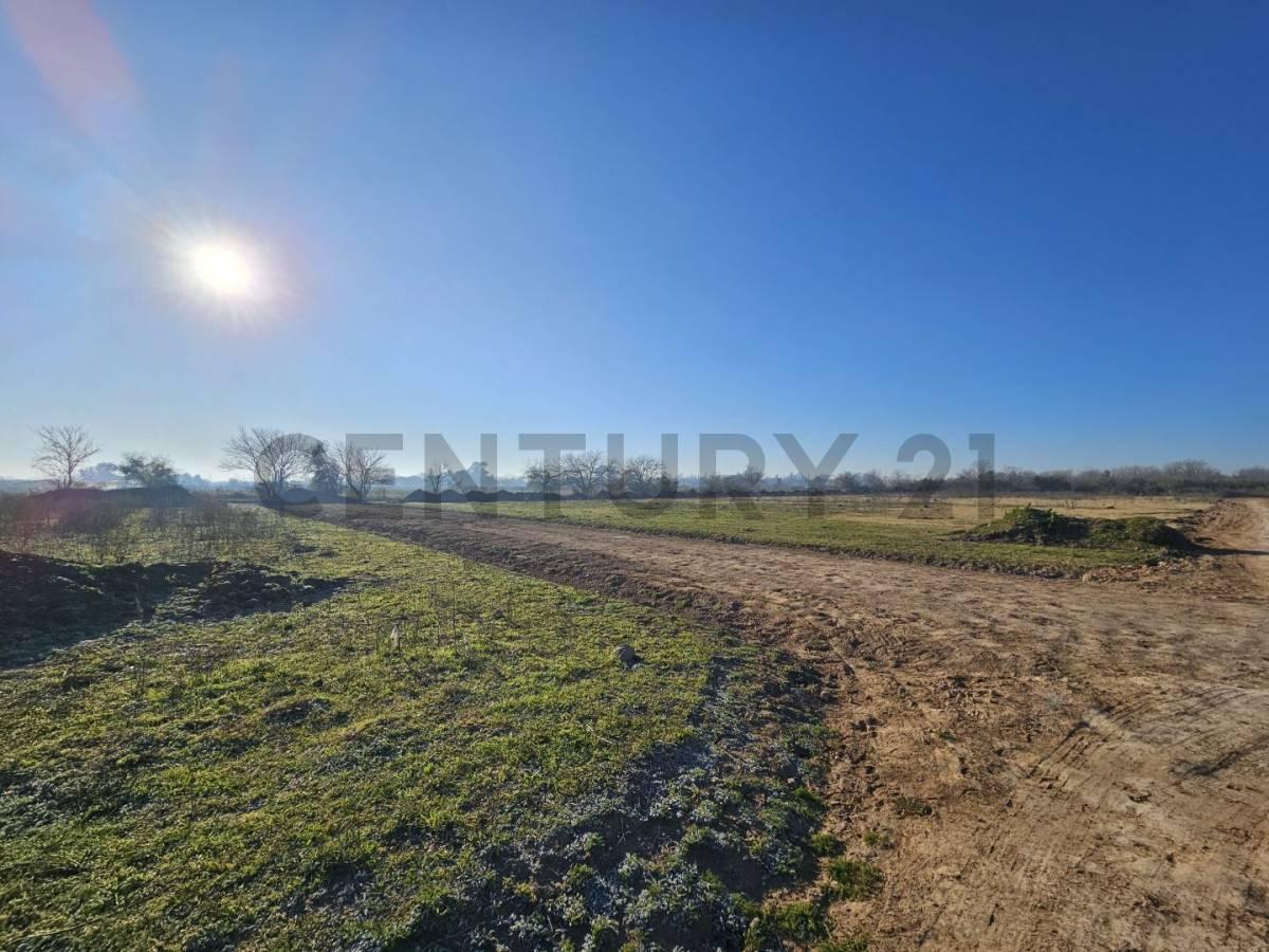 Foto de Lote en venta Finca "Los Cerezos 2", imagen 3