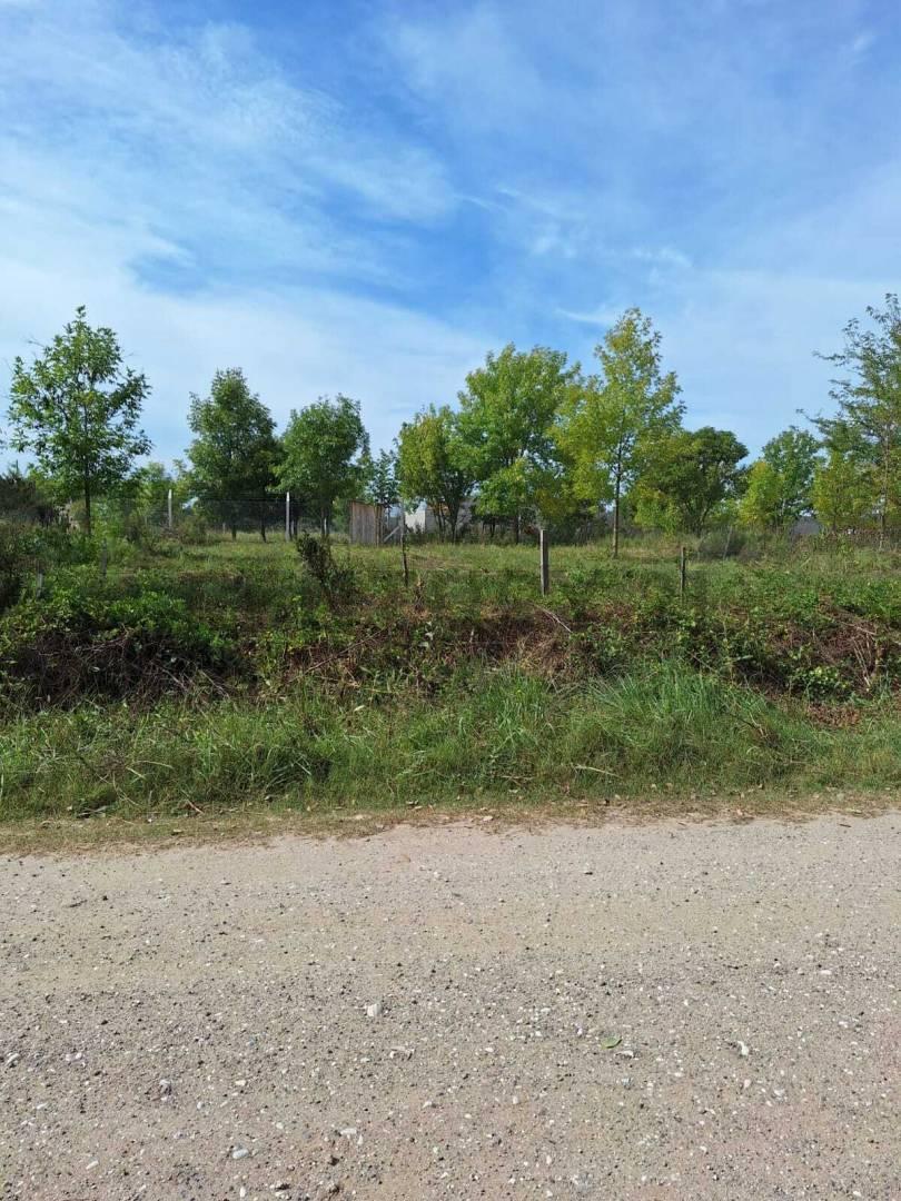 Foto de TERRENOS EN VENTA EN IGNACIO CORREAS, imagen 2