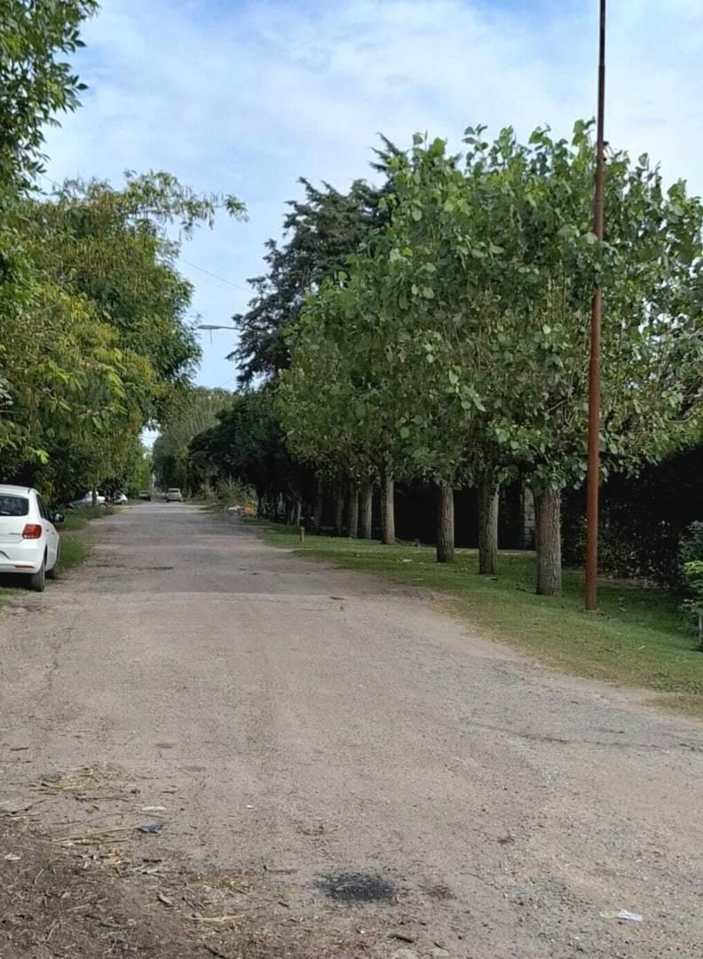 Foto de TERRENOS EN VENTA EN IGNACIO CORREAS, imagen 4
