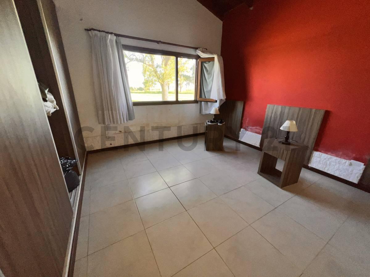 Foto de CAMPO EN VENTA EN SALADILLO 617 HA., imagen 4