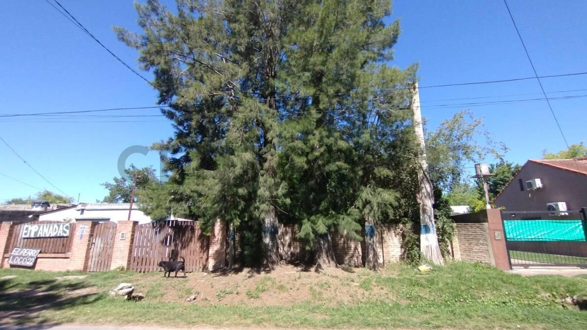 Foto de Lote en calle 450 e/ 23 y Camino Belgrano, imagen 3