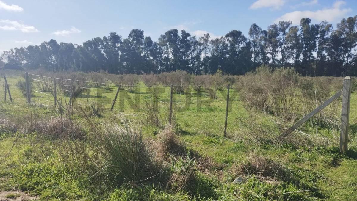 Foto de Fracciones en Venta en Arana, imagen 3