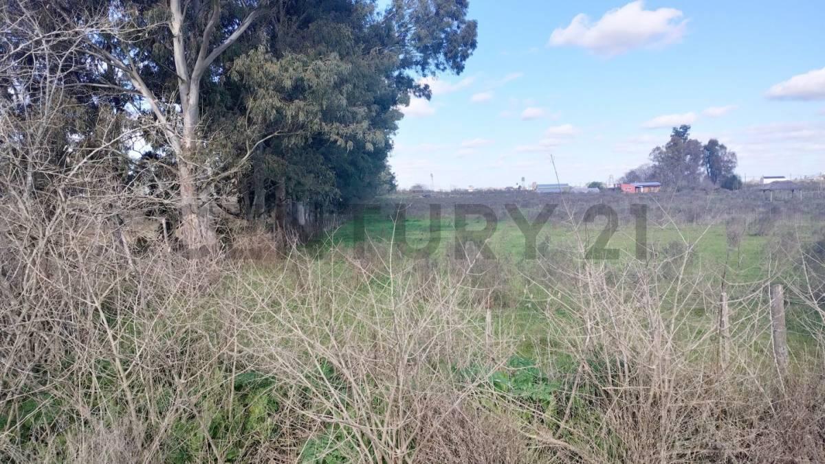 Foto de Fracciones en Venta en Arana, imagen 2