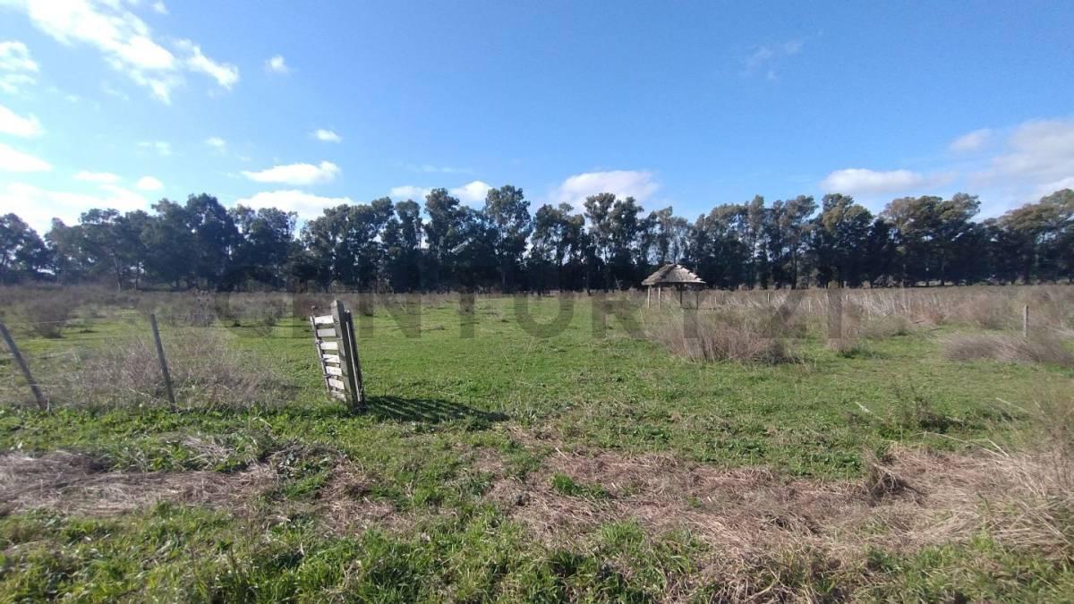 Foto de Fracciones en Venta en Arana, imagen 1