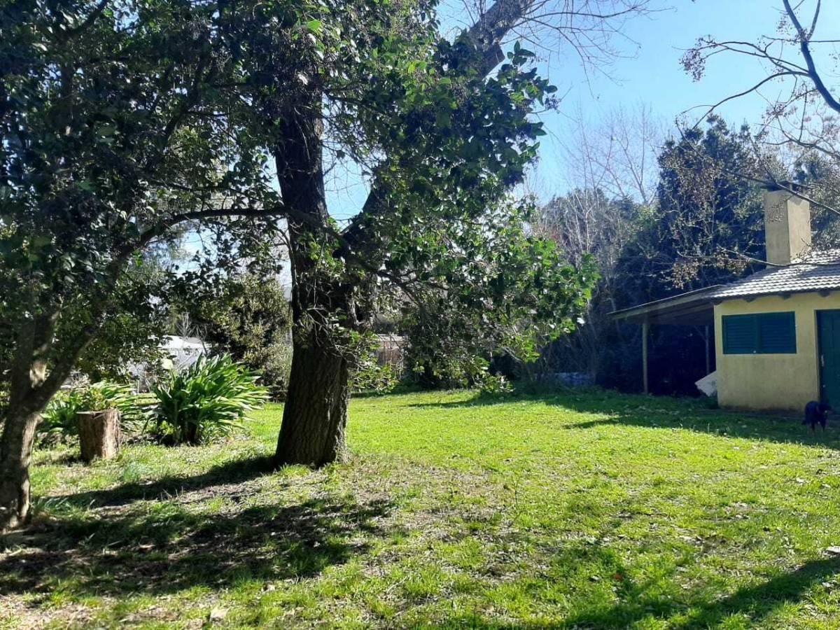Foto de Lote en esquina de 50x50 en Sicardi, imagen 2